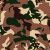 Desert Camo