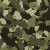 Army Camo